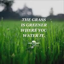The Grass Is Greener Where You Water It Inspirational Quotes Life Quotes Uplifting Quotes
