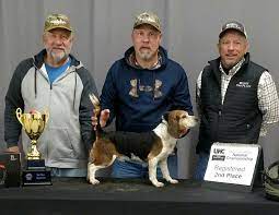 Maybe you would like to learn more about one of these? Walnut Ridge Kennels Posts Facebook