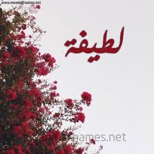 shirley اسم طيف مزخرف