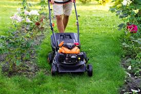 To be honest, you would be better off going. Should You Use A Personal Loan To Finance A Lawn Mower Purchase Mybanktracker