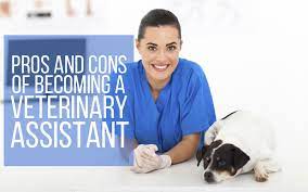 Must also be able to communicate basic veterinary concepts to owners and be able to repeat information relayed by a veterinarian c. Pros And Cons Of Becoming A Veterinary Assistant