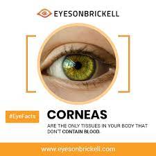 Pin By Rianti Yahya On Eye Eye Facts Eye Care Eye Health