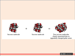 Carbonated soft drink (w/ bubbles) heterogeneous. Welcome Dr Leslie Sombers Lingjiao Qi Ppt Download