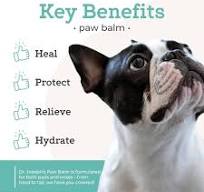 Amazon.com : VetPro Complete Paw Balm for Dogs and Cats, 2 Ounces, Natural  Protection & Paw Soother for Dry Pads & Noses, Vet Formulated Foot Cream,  ...