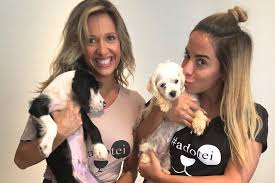 Luisa mell, famosa ativista dos animais, foi à delegacia de investigações sobre infrações contra o meio ambiente para observar as imagens da câmera de segurança do carrefour após caso do. Doe Para O Instituto Luisa Mell