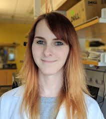 Hi is there any way to “play all songs”