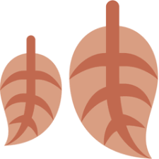 Emoticon seringkali digunakan di tengah atau akhir teks untuk mengungkapkan perasaan seseorang. Arti Emoji Daun Gugur Fallen Leaf Emojipedia