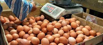 2,484 likes · 50 talking about this · 61 were here. Harga Telur Ayam 1 Kg Di Pasaran Dan Cara Memilih Telur Berkualitas Terbaik Daftar Harga Tarif