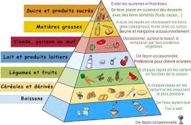 Trame Pour Organiser Ses Menus Pour Des Repas Equilibres Food Pyramid Teaching French French Food
