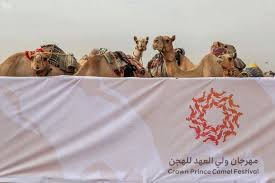 Get a free 15 day trial at simply audiobooks. Second Phase Of Saudi Crown Prince Camel Festival Begins Arab News