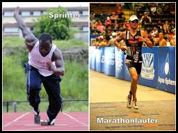 Sprinten Vs Joggen Fit And Fresh In 2020 Fit Ausdauer Training Muskeln Aufbauen