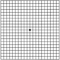 Amsler Grid Wikipedia