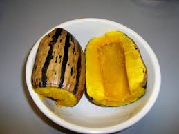 We did not find results for: Plantfiles Pictures Delicata Squash Winter Squash Honey Boat Cucurbita Pepo By Byndeweedbeth