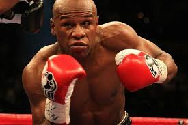 From gloves and shoes to punching bags and boxing rings, ringside is your source for the world's very best boxing equipment. Pros And Cons Of The Most Popular Boxing Gloves Used By The Pros Bleacher Report Latest News Videos And Highlights