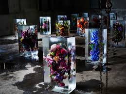 Maybe you would like to learn more about one of these? How Do You Preserve Stunning Flowers That Die Fast Huge Blocks Of Ice Wired
