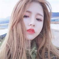 8 "Erdi Fan" profiles