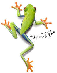 파충류, 양서류 - 홍주 아이디 두개쓰는거임? - 디시인사이드