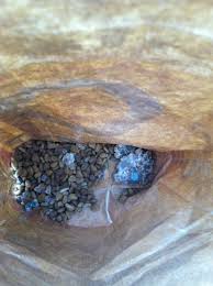 Mold Reported in Purina One Beyond