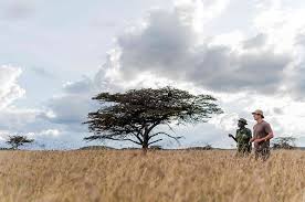 Marion has 3 jobs listed on their profile. Laikipia