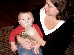 Some Baby Formulas May Cause Faster Weight Gain Npr