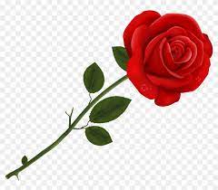 Find Hd Rose Earth Desktop Wallpapers Transparent Background Rose Clipart Hd Png Download To Search An Rose Flower Png Flower Backgrounds Flower Png Images