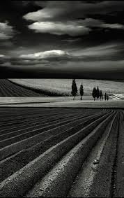 Black And White Nature Photography Quotes Black And White My Favorite Photo Fotos Imagine Inspirador