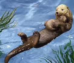 Hang otter ornaments from zazzle on your tree this holiday season. Pin On For My Lawn