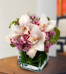 Today's best flower deals in san diego, ca. April 2013