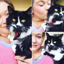 How to cope with bipolar disorder and find reliable support?