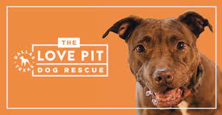 Hoda kotb's new podcast is live! The Love Pit The Love Pit Rescue