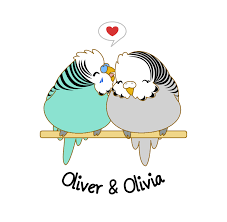 Oliver And Olivia Muhabbet Kuslari Kawaii Cizim