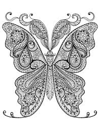 No response for adult coloring pages patterns butterfly 7uhb. Free Adult Coloring Butterfly Page Kidspressmagazine Com