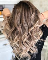 The color is perfect for light to medium skin tones black hair with blonde tips is one of the most striking hair colors. Honey Blonde Hair Color Inspiration Redken