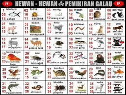 Menanggapi arti tafsiran mimpi tsunami selamat di atas, anda haruslah banyak berdoa dan memohon atas petunjuk allah agar diberi kemudahan dalam menjalani hidup. 74 Gambar Gambar Hewan Pakong Kekinian Gambar Pixabay