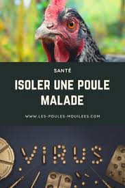 Epingle Sur La Sante Des Poules
