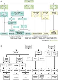 The medical team, including the dietitian, will work closely with it can be difficult to understand how tired someone having cancer treatment sometimes feels. Liver Directed Therapy For Hepatocellular Carcinoma Springerlink