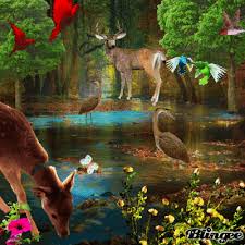 See more ideas about nature gif, nature, beautiful nature scenes. Nature Animated Picture Codes And Downloads 135881274 841237548 Blingee Com