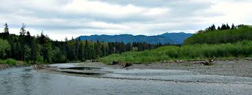 Maybe you would like to learn more about one of these? Olympic National Park Rainforest Characteristics And Animals