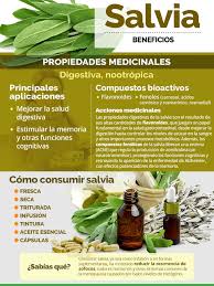 Remedios en Casa | La Hierba Medicinal que Despierta tu Cerebro y Calma tus  Síntomas de Menopausia! 🧠 La salvia es una planta ancestral, cuyo  nombre... | Instagram