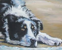 Border Collie Sea By Lee Ann Shepard Dog Art Border Collie Art Collie Dog