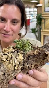 Cristiana Dearbin's Instagram, Twitter & Facebook