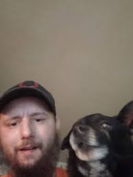 My dog buddy got loose broke his chian if seen please text me last seen  around Curtis lane