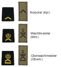 Открыть страницу «bundeswehr» на facebook. Grade Der Schweizer Armee Wikipedia