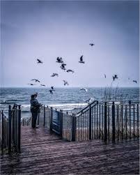 Image result for tbn:TG6q2zp6I3_-sM::balta.ikk.sztaki.hu/webshots/Oceans/12369.jpg