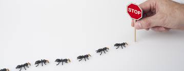 See actions taken by the people who manage and post content. Pest Control Boise Id Protec