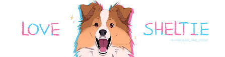 Azzai Banner For Russian Sheltie Public Group Love How to draw a shetland sheepdog. azzai banner for russian sheltie