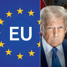 MR. CHARLES MAURICE DUDLEY, MBAPM-CAPM, MCITPSA