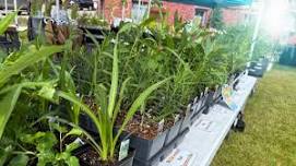Alger Conservation District Plant Sale
