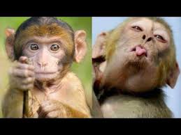 Berikut ini daftar bentuk kue ulang tahun untuk anak. Pin Di Spesial Afia Youtube Channel