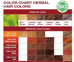 Logona Natural Hair Color Creme Indian Summer